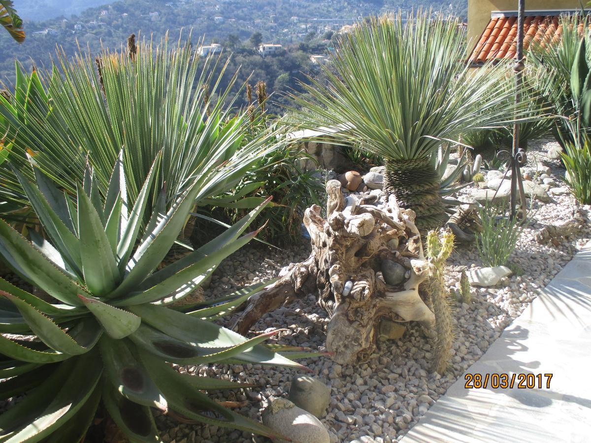 Les Mimosas Bed & Breakfast Menton Eksteriør bilde
